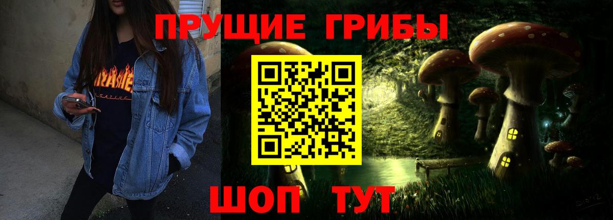 Соль-Илецк  Псилоцибиновые грибы Cubensis  Вход с VPN  Галлюциногенные грибы MAGIC MUSHROOMS 